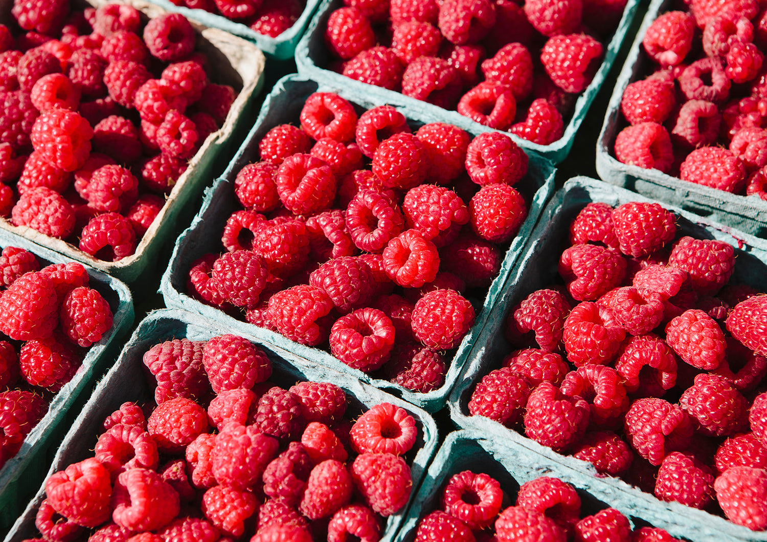 fresh raspberries antioxidants superfoods 